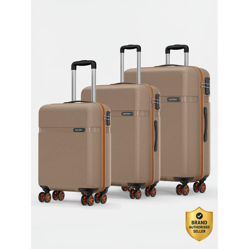 Fury: Fossil 3 Piece Set